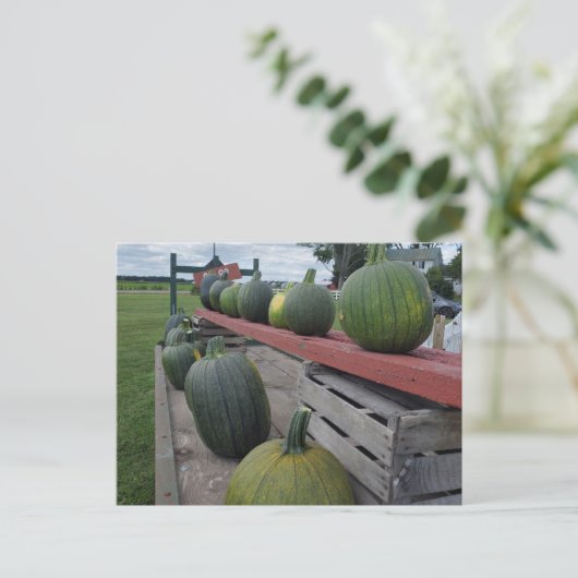 pompoen briefkaart (Staand voorkant)