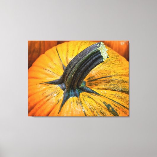 Pompoen Canvas Afdruk (Voorkant)