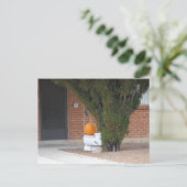 pompoen die op het toilet zitten briefkaart (Staand voorkant)