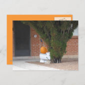 pompoen die op het toilet zitten briefkaart (Voorkant / Achterkant)