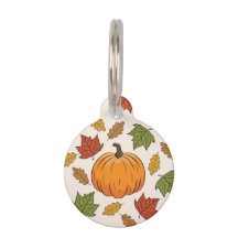 Pompoen en kleurrijke herfstbladeren & huisdierinf