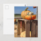 Pompoen en pompoenkaart briefkaart (Voorkant / Achterkant)