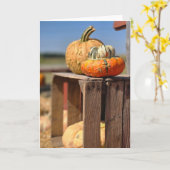 Pompoen en pompoenkaart kaart (Gele Bloem)