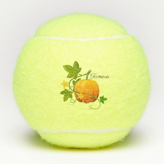 Pompoen en vinnen tennisballen (Voorkant)