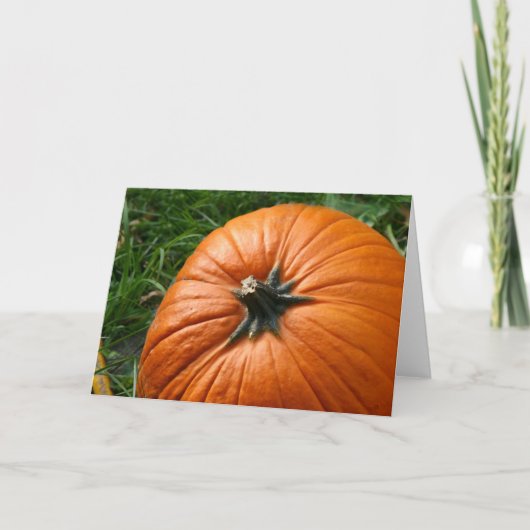 Pompoen Feestdagen Kaart (Voorkant)
