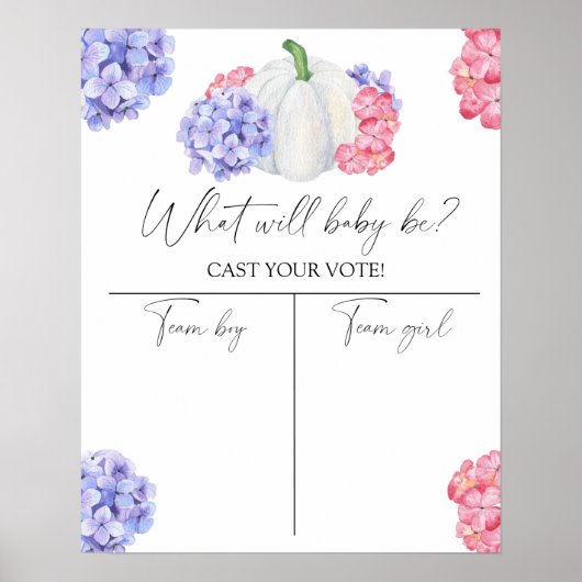 Pompoen Geslacht onthullen Boy of meisje grafiek Poster (Voorkant)