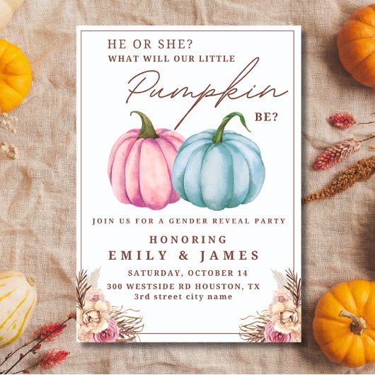 Pompoen Geslacht onthullen jongen of meisje hij of Kaart