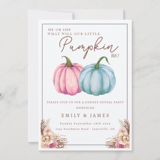 Pompoen Geslacht onthullen jongen of meisje hij of Kaart (Voorkant)