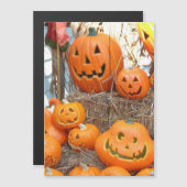 Pompoen halloween jack o lantaarn oranje pompoenen (Voorkant / Achterkant)