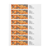 Pompoen halloween jack o lantaarn oranje pompoenen adreslabel wikkel (Vel)