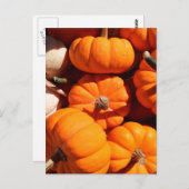 Pompoen halloween jack o lantaarn oranje pompoenen briefkaart (Voorkant / Achterkant)