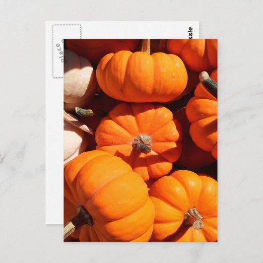 Pompoen halloween jack o lantaarn oranje pompoenen briefkaart (Voorkant / Achterkant)