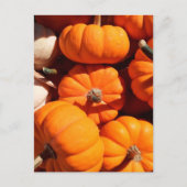 Pompoen halloween jack o lantaarn oranje pompoenen briefkaart (Voorkant)