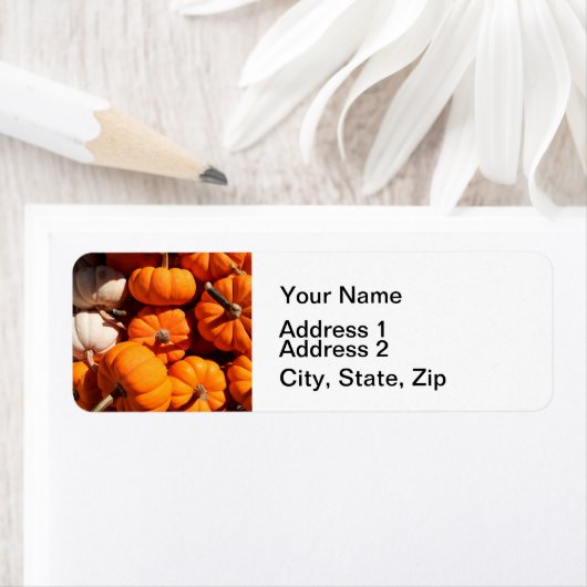 Pompoen halloween jack o lantaarn oranje pompoenen etiket (Insitu)