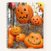 Pompoen halloween jack o lantaarn oranje pompoenen notitieboek (Voorkant)