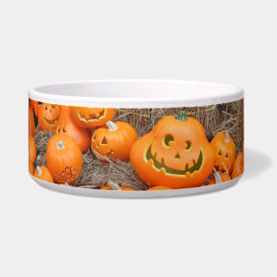 Pompoen halloween jack o lantaarn oranje pompoenen voerbakje