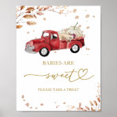 Pompoen Herfst Baby's Zijn Zoete Teken Poster (Voorkant)