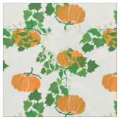 Pompoen in de Herfst Stof (Close Up)