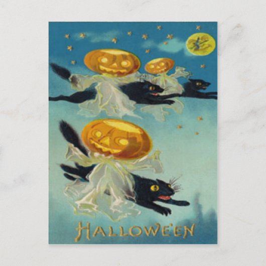 Pompoen Jack O Lantern Zwarte Kat Heks Briefkaart (Voorkant)