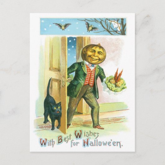 Pompoen Jack O Lantern Zwarte Kat Vleermuis Briefkaart (Voorkant)
