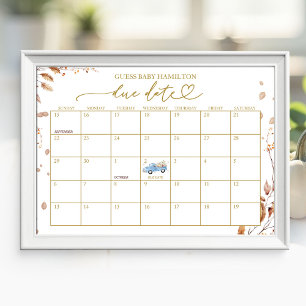 Pompoen Jongen Herfst Baby Shower Verwachte Datum Poster