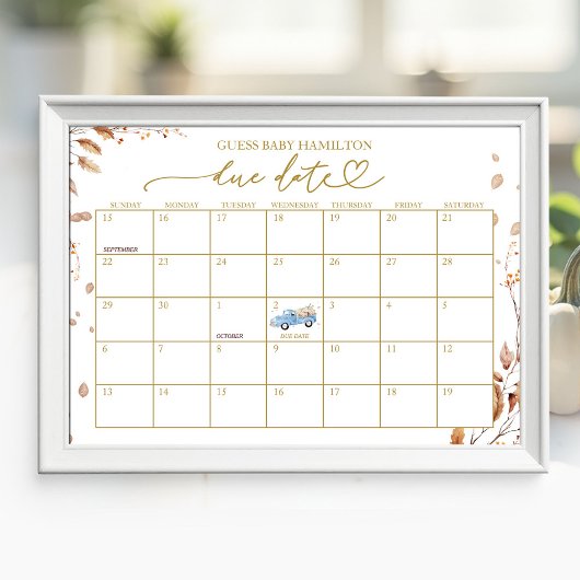 Pompoen Jongen Herfst Baby Shower Verwachte Datum Poster