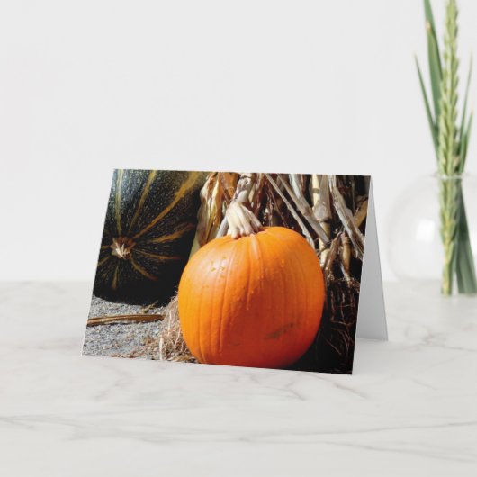 pompoen kaart (Voorkant)