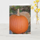 Pompoen Kaart (Gele Bloem)