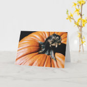 pompoen kaart (Gele Bloem)