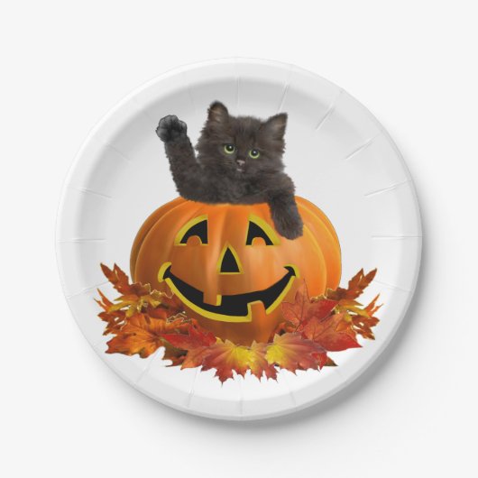 Pompoen Kitty Papieren Bordje (Voorkant)