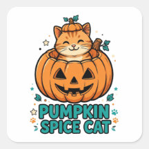 Pompoen Kruiden Kat Halloween Oranje Kat In Pompoe