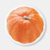 pompoen magneet (Voorkant)
