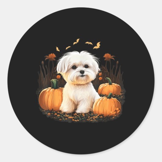 Pompoen Maltezer Hond Kostuum Op Maltezer Hond Ronde Sticker (Voorkant)