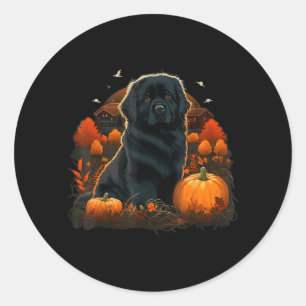 Pompoen Newfie-hondkostuum op Newfoundlander Ronde Sticker