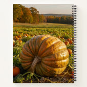 Pompoen notitieboek (Achterkant)
