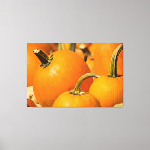 POMPOEN OOGST 60 X 40 OMWONDEN DOEK CANVAS AFDRUK