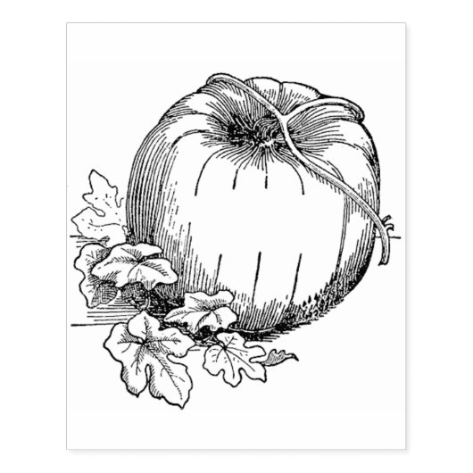 Pompoen op de wijn rubberstempel (Afrduk)