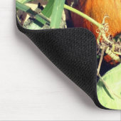 Pompoen op wijn Natuur Muismat (Hoek)