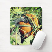 Pompoen op wijn Natuur Muismat (Met muis)