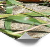 Pompoen op wijnstok Herfst Natuur fotografie Poster (Hoek)