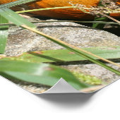 Pompoen op wijnstok Herfst spiegel Abstract Poster (Hoek)