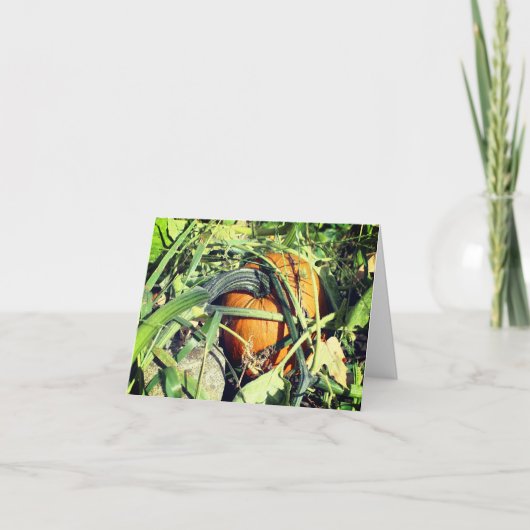 Pompoen op wijnstok Natuur noot Bedankkaart (Voorkant)