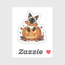 Pompoen Peek Siamese – Schattigee Halloween Siames