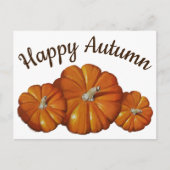 Pompoen Post Kaart (Voorkant)