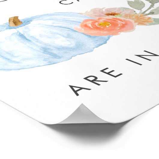 pompoen raden hoeveel Snoepjes jongen douche spel Poster (Hoek)