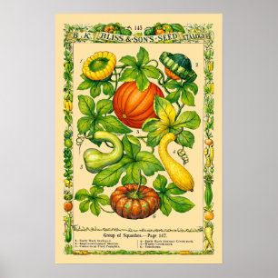 Pompoen Retro Victoriaans Tijdperk Botanische Kuns Poster