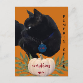 Pompoen Spice Alles Mooi Zwart Kat Briefkaart