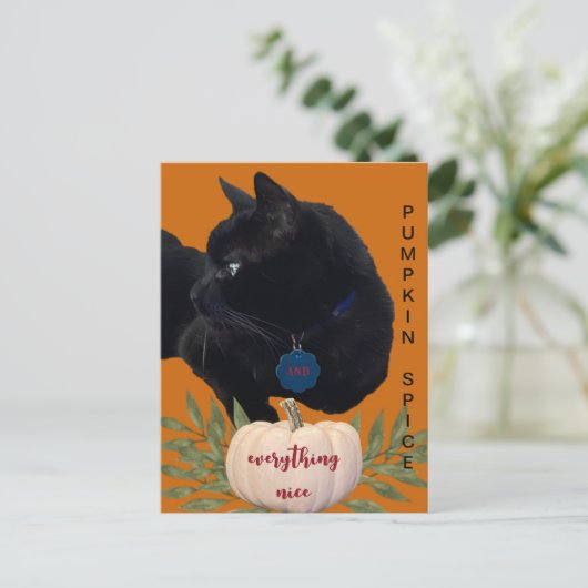 Pompoen Spice Alles Mooi Zwart Kat Briefkaart (Staand voorkant)