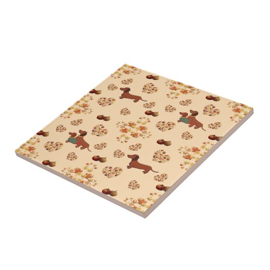 Pompoen Spice Teckel Nice Tegeltje (Zijkant)