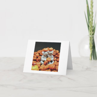 Pompoen stapel - Muizen Kaart